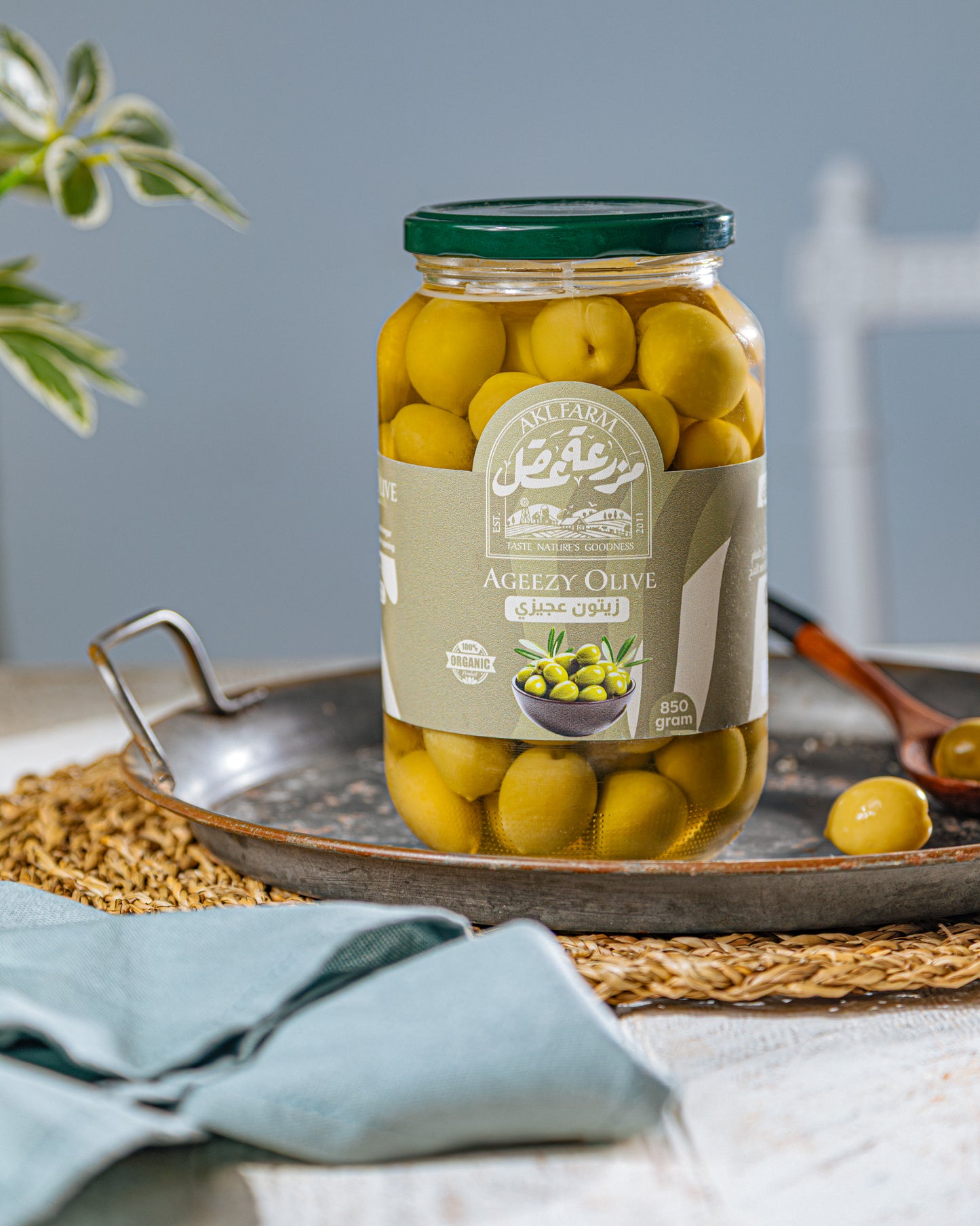 زيتون عجيزي - 850 جم 